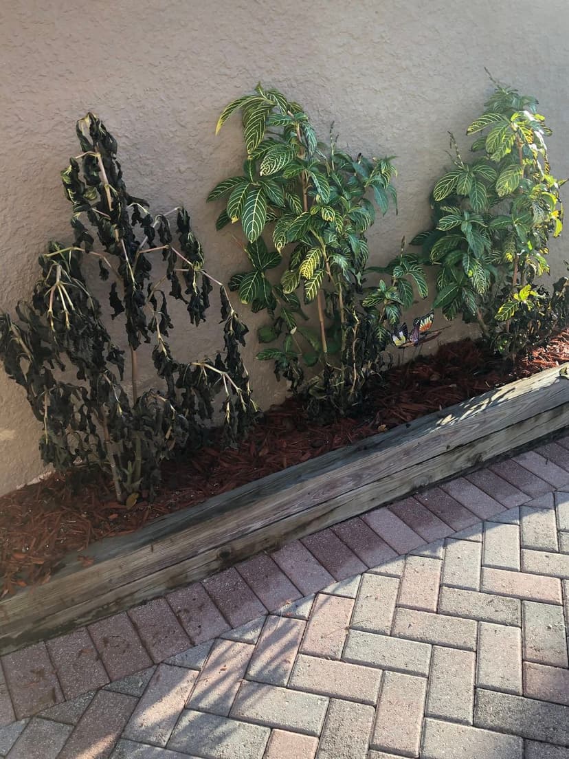 24/7 Emergency Services's image