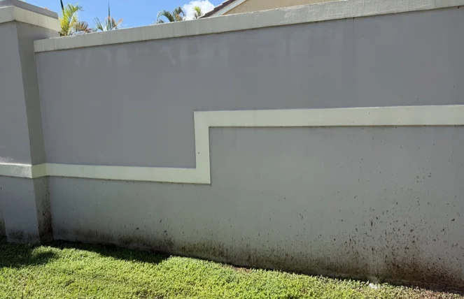 Closer view of the HOA wall surface from the Davie cleaning project