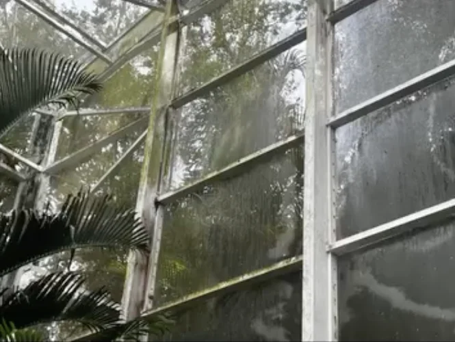Mesh panels and framing of the butterfly enclosure documented during Fairchild Gardens cleaning